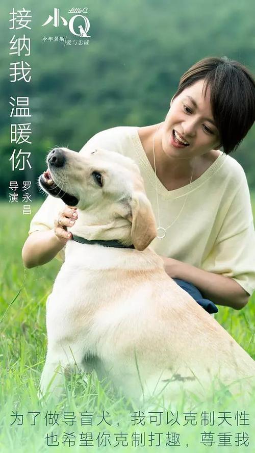 仿制假旧金山艺术大学文凭